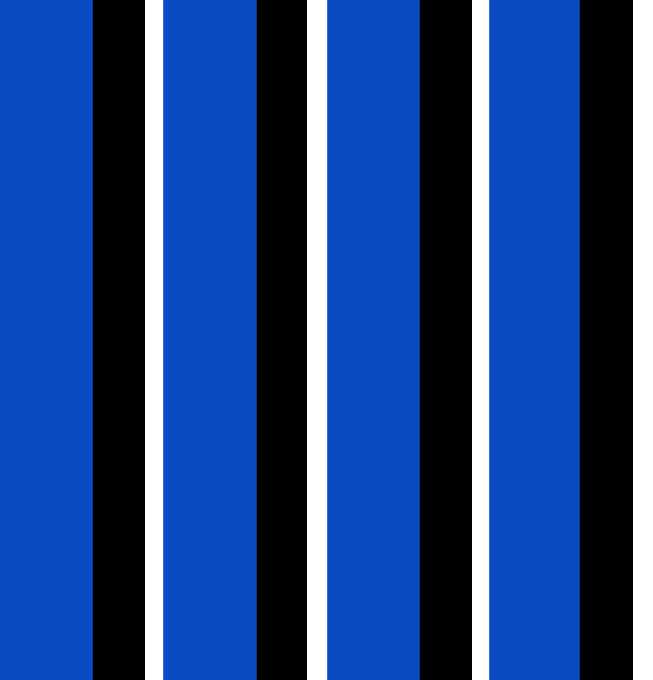 Azul/Negro/Blanco